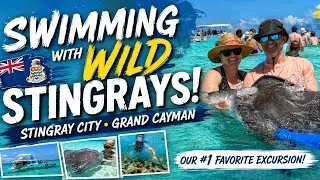 Thumbnail: Swimming with WILD Stingrays at Stingray City! | Grand Cayman’s #1 Bucket List Excursion 🇰🇾🐠