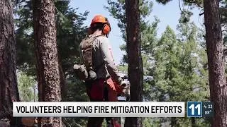 Thumbnail: Teller county fire mitigation