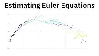 Thumbnail: Estimating Euler Equations | Lecturecast by Kalina Stoycheva