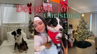 Thumbnail: decorate for christmas 🎄⭐🎁❤️