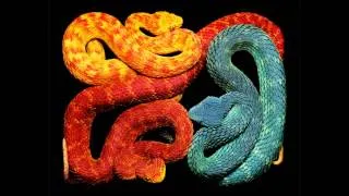 Thumbnail: Crawlin' King Snake - Reptilians of the Flatlands