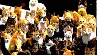 Thumbnail: Zee Gato Felix - Here Kitty Kitty Kitty