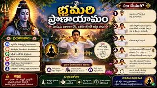 Thumbnail: Bhramari Pranayama (Humming Bee Breath) | Breathing Technique of Pranayama By Salapaka Subbarao
