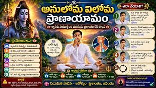 Thumbnail: Anulom Vilom Pranayama | Nostril Breathing Technique of Pranayama By Salapaka Subbarao