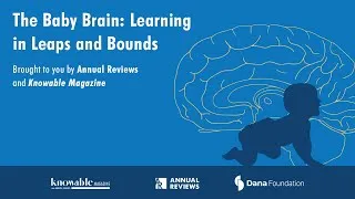 Thumbnail: The baby brain: Learning in leaps and bounds
