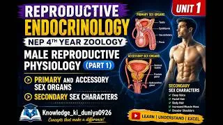 Thumbnail: Primary sex organs,  accessory sex organs, Secondary sex characters (part 1) #youtube #zoology