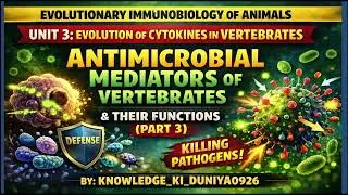 Thumbnail: Antimicrobial mediators and their functions in vertebrates #immunology #youtube #youtubevedio