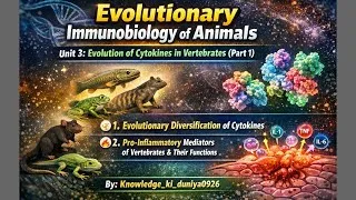 Thumbnail: Diversification of cytokines and proinflammatory mediators of vertebrates & itsfunction(unit3)