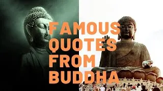 Thumbnail: || Most Powerful Buddha Quotes ||
