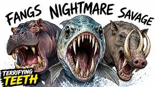 Thumbnail: Every Animal With Terrifying Teeth Explained in 9 Minutes