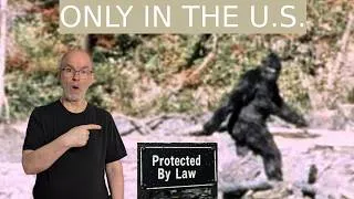 Thumbnail: Bizarre American Habits & Laws That Shock Visitors