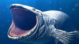 Thumbnail: Bloop Monster Caught on Camera | The Bloop