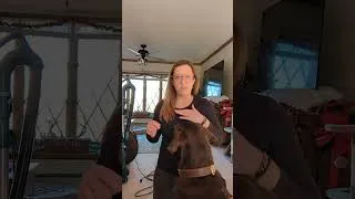 Thumbnail: Bella and Cash Lesson 2