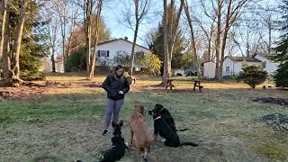 Thumbnail: Bella and Cash Lesson 4