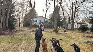 Thumbnail: Bella and Cash Lesson 5
