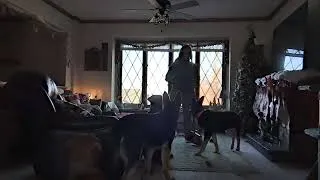 Thumbnail: Bella and Cash Lesson 1