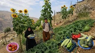 Thumbnail: 😱 Unbelievable Harvest! 🎃Pumpkins, 🥒 Cucumbers & 🍅Tomatoes from a Nomadic Mountain Garden 🏔️
