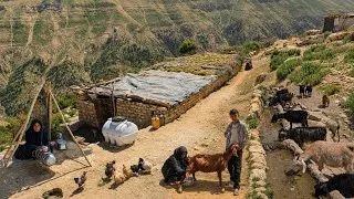 Thumbnail: 🔥Hard Nomadic Life in Iran | A Full Day with Iranian Nomads Struggling to Survive in the Mountains🏔️