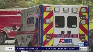 Thumbnail: Unleashed dog attack leaves 3 injured in SW Portland, police say
