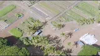Thumbnail: Support the Kōkua Learning Farm! FarmRAISER 2022