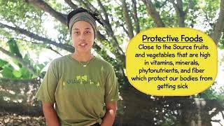 Thumbnail: ʻĀINA Close to the Source Snack Bird's Nest Salad