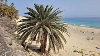 Thumbnail: RIU PALACE CALYPSO MORRO JABLE FUERTEVENTURA