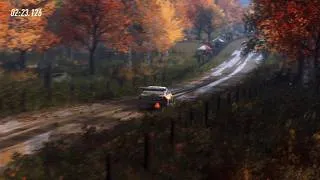 Thumbnail: DiRT Rally 2.0_20260801083931
