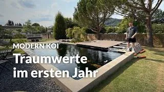 Thumbnail: Die Wasserwerte an Uwes 65.000l Koiteich | Modern Koi Blog #8323
