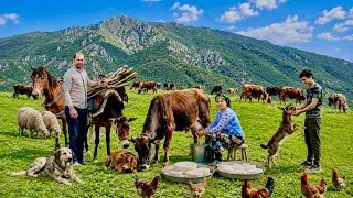 Thumbnail: Milking Cows and Preparing Cheese, Rebuilding Oven with Clay for Baking Bread
