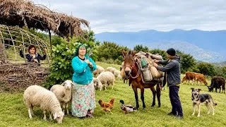Thumbnail: Another Exciting Day with Iran Nomads | Moving to the Spring Camp & Collecting Forgotten Items