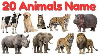 Thumbnail: 🔥 20 Animal Names in English & Hindi with Pictures | 20 जानवरों के नाम | Animals for Kids 🦁🐘🐯