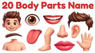 Thumbnail: 25 Body Parts Name for Kids | Body Parts Name English and Hindi with Pictures | शरीर के अंगों के नाम