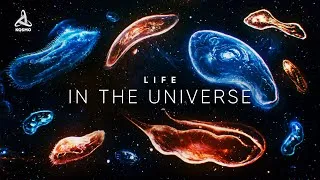 Thumbnail: Life in the Universe. A Journey into Deep Space