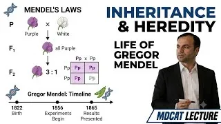 Thumbnail: Inheritance & Heredity Explained | Gregor Mendel Biography | MDCAT Biology Lecture