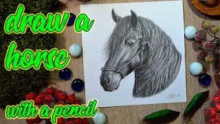 Thumbnail: Portrait of a horse with pencil | Shading, pencil drawing
