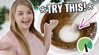 Thumbnail: These Dollar Tree Hacks Are Going Viral in 2026