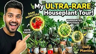 Thumbnail: My Rare Plant Collection: What’s Actually Worth It? 🌿