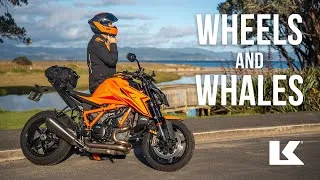 Thumbnail: KRIEGA WHEELS & WHALES
