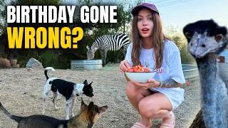 Thumbnail: My Birthday Didn’t Go as Planned! Birthday Vlog