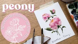 Thumbnail: Watercolor peony - November birth month flower