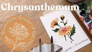 Thumbnail: Watercolor Chrysanthemum - November birth month flower