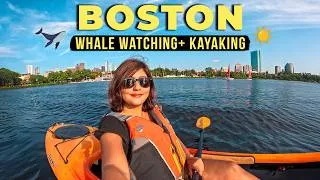 Thumbnail: Boston Summer Vlog | Whale Watching, Kayaking & Good Food ☀️🐳