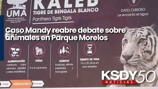 Thumbnail: Caso Mandy reabre debate sobre animales en Parque Morelos
