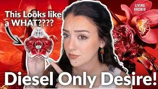 Thumbnail: This Looks Like a WHAT?🤨 NEW Diesel Only Desire Perfume Review!