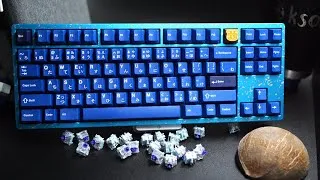 Thumbnail: Tiger 80 | Momoka Shark Switches