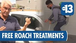 Thumbnail: Henderson pest control offers free treatments amid Asian cockroach surge