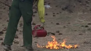 Thumbnail: Forest Service hiring for next year wildfire jobs
