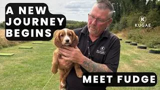 Thumbnail: Meet Our New Cocker Spaniel Puppy | Choosing the Right Gundog