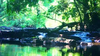 Thumbnail: Relaxing Video | 5 Min