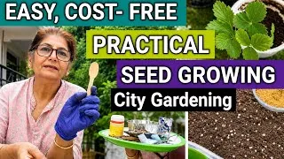 Thumbnail: EASY, COST- FREE AND PRACTICAL SEED GROWING METHODS FOR HOME GARDENERS 